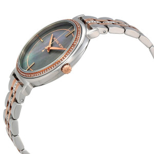 Часы Michael Kors MK3642